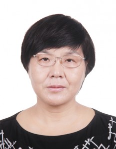 Lucy Wu RREM Mapic